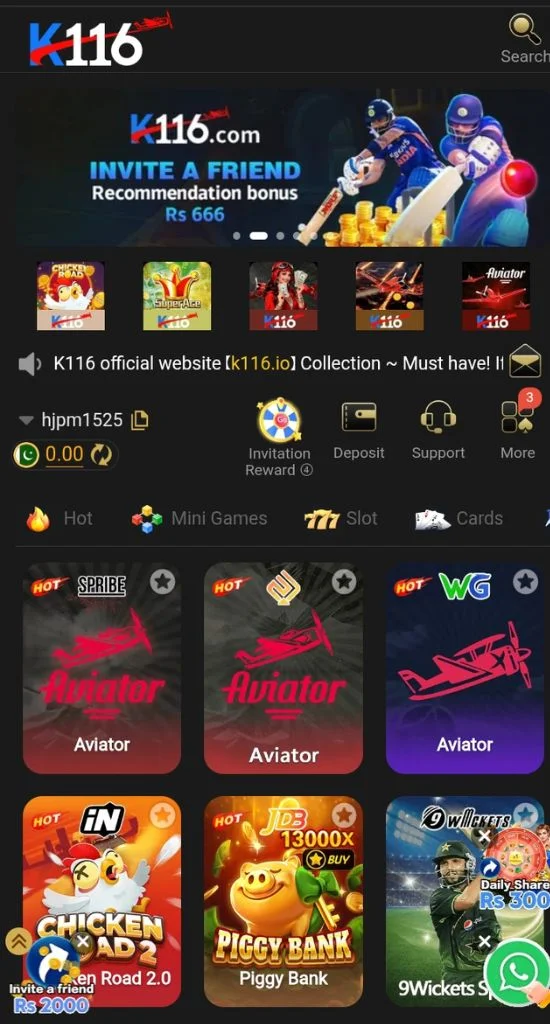 K116 Game
